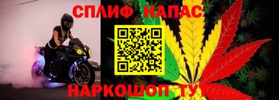 прущие крисы Брянск
