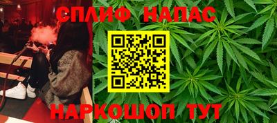 прущие крисы Брянск